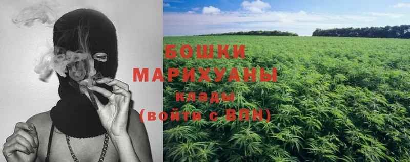 hydra маркетплейс  Карасук  Марихуана OG Kush 